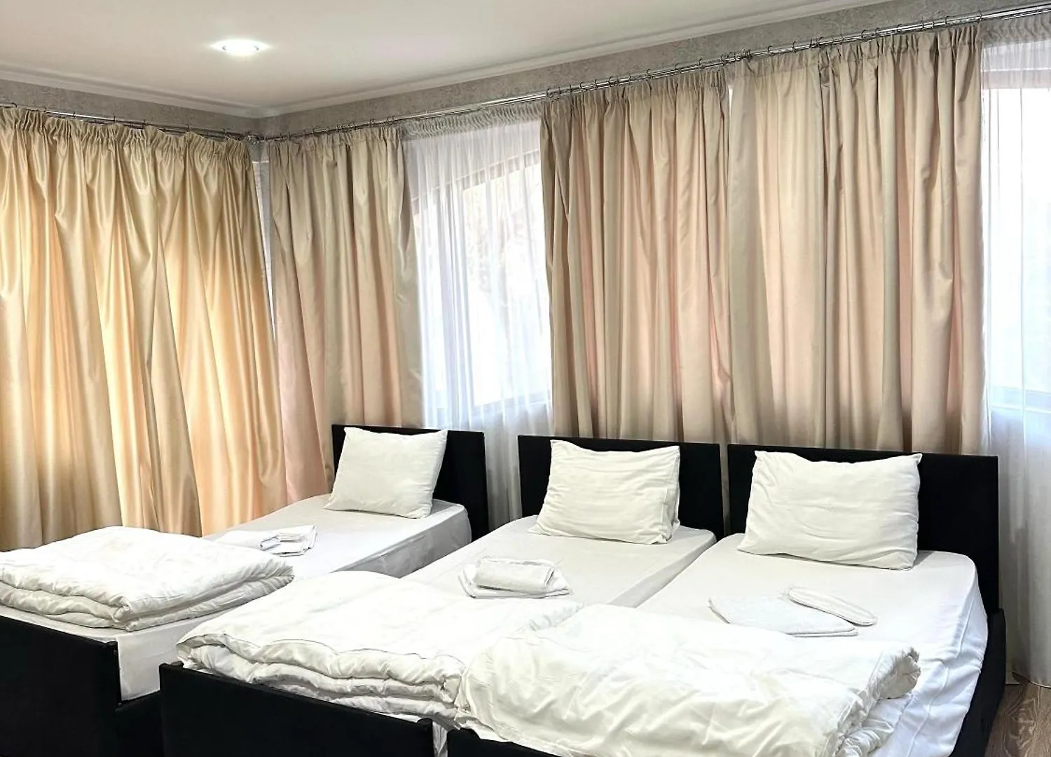 Hotel Alaverdi Palace Tbilisi 2*,